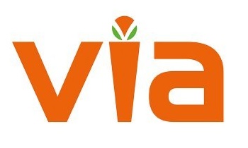Via Logo