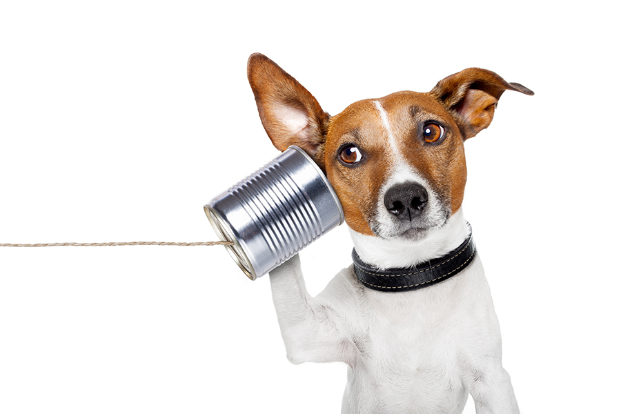 What to listen out for to solve conflict