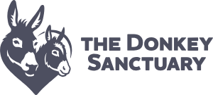 Operations Manager, The Donkey Sanctuary